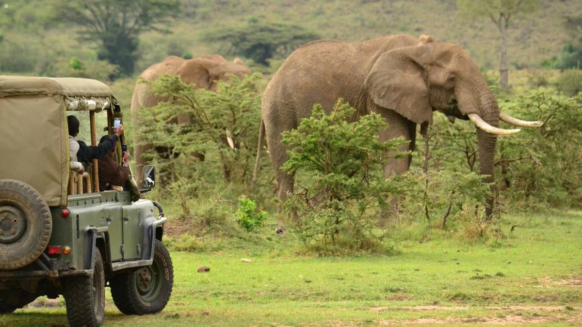 What to expect on 14 days Africa safari in Kenya